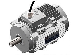 High Temperature Motors