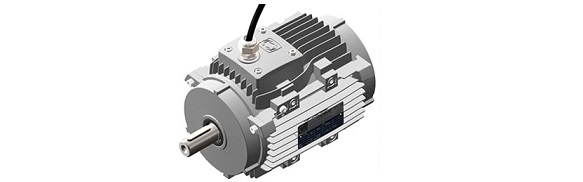 High Temperature Motors